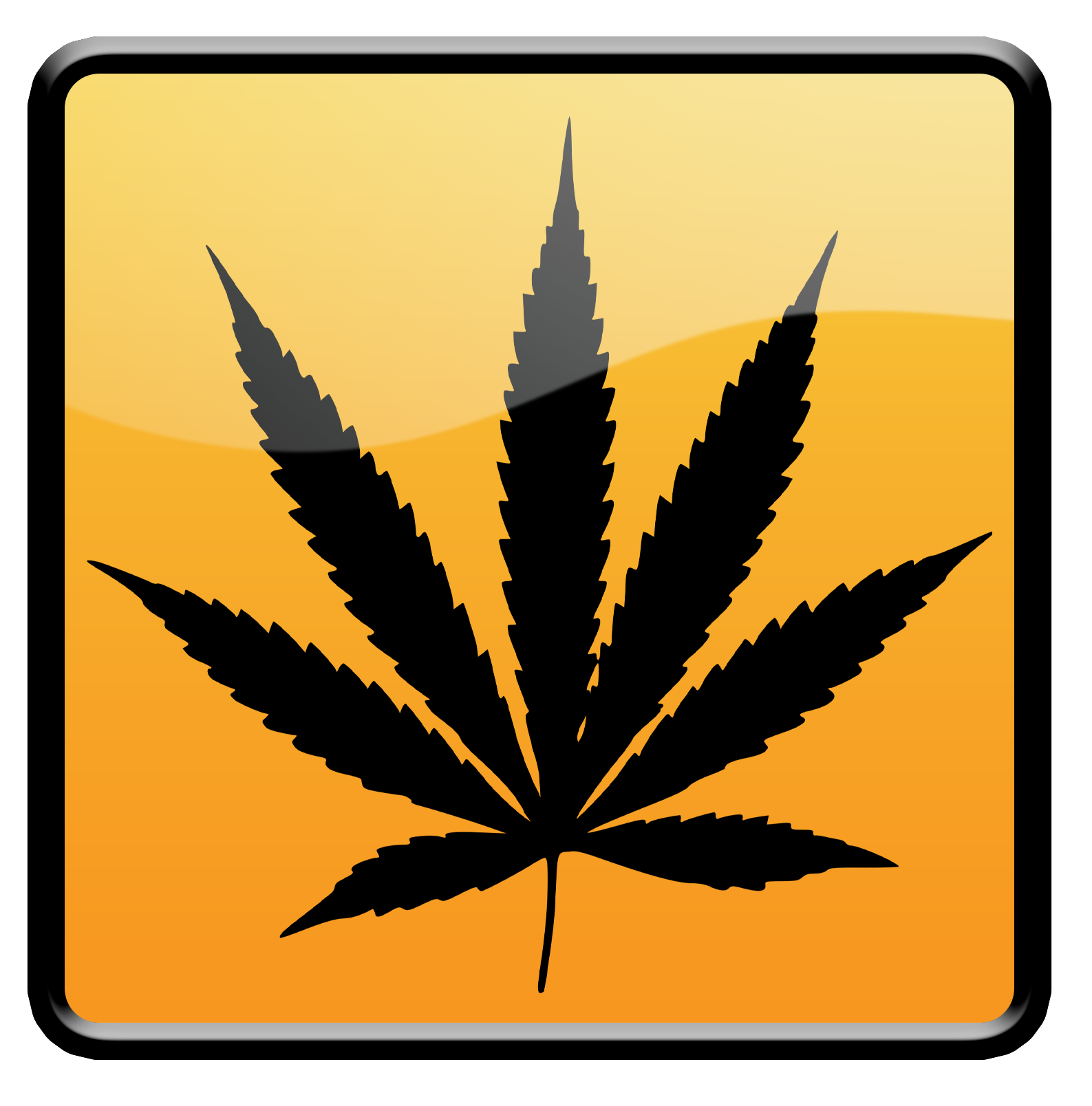 CANNABIS EXPUNGEMENT